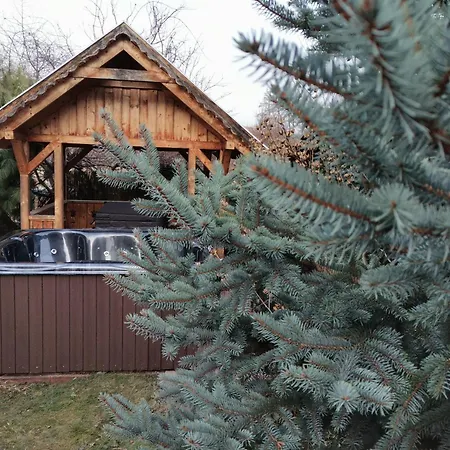 Lägenhet Racz Vendeghaz Dedestapolcsany